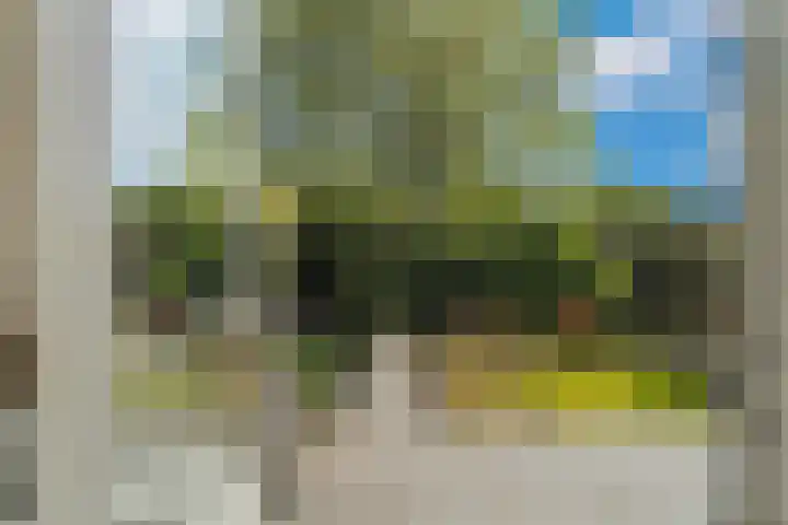 Bereklauw 55 Naaldwijk thumbnail 32