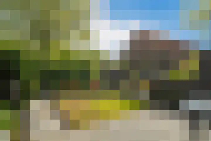 Bereklauw 55 Naaldwijk thumbnail 33