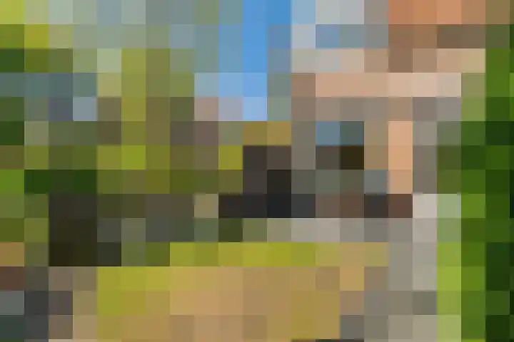 Bereklauw 55 Naaldwijk thumbnail 35