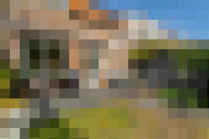 Bereklauw 55 Naaldwijk thumbnail 36