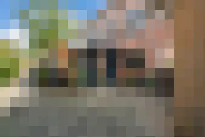 Bereklauw 55 Naaldwijk thumbnail 37
