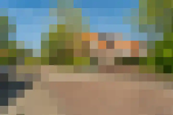 Bereklauw 55 Naaldwijk thumbnail 38