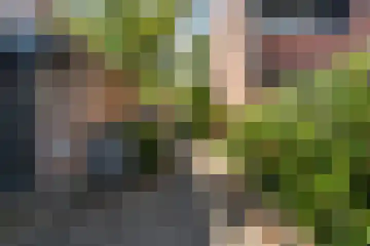 Bereklauw 55 Naaldwijk thumbnail 39