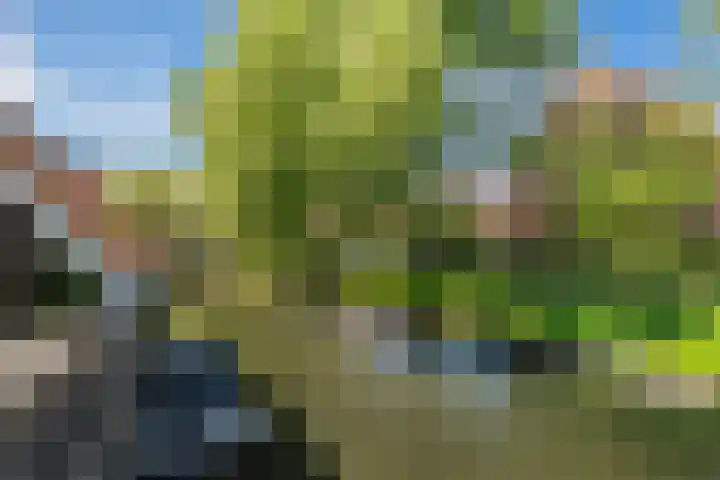 Bereklauw 55 Naaldwijk thumbnail 6