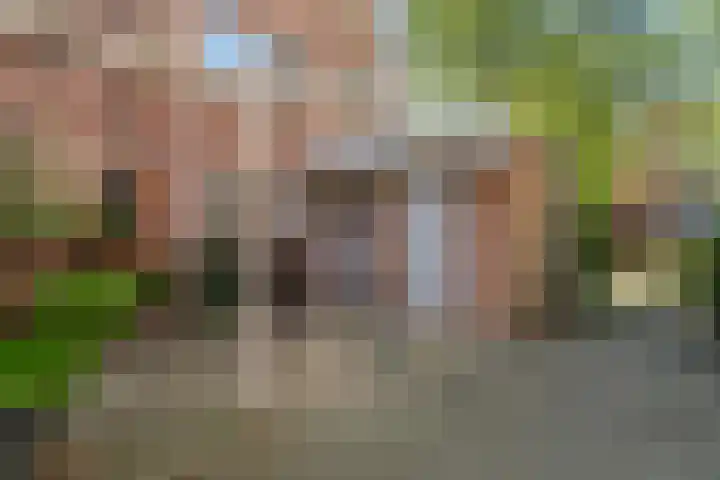 Bereklauw 55 Naaldwijk thumbnail 7