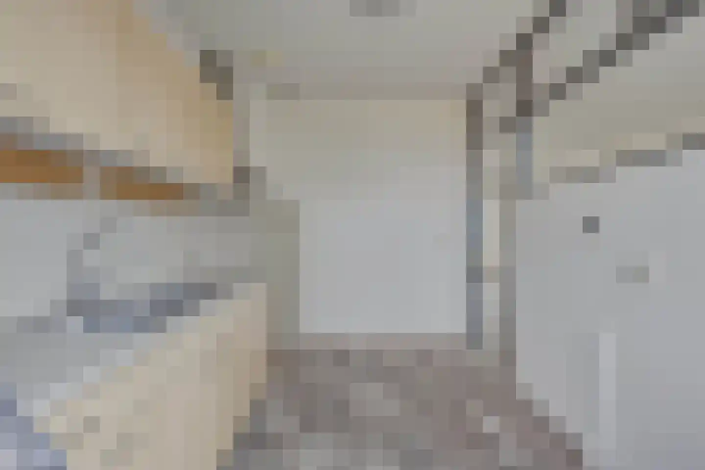 Bereklauw 62 Cuijk thumbnail 11