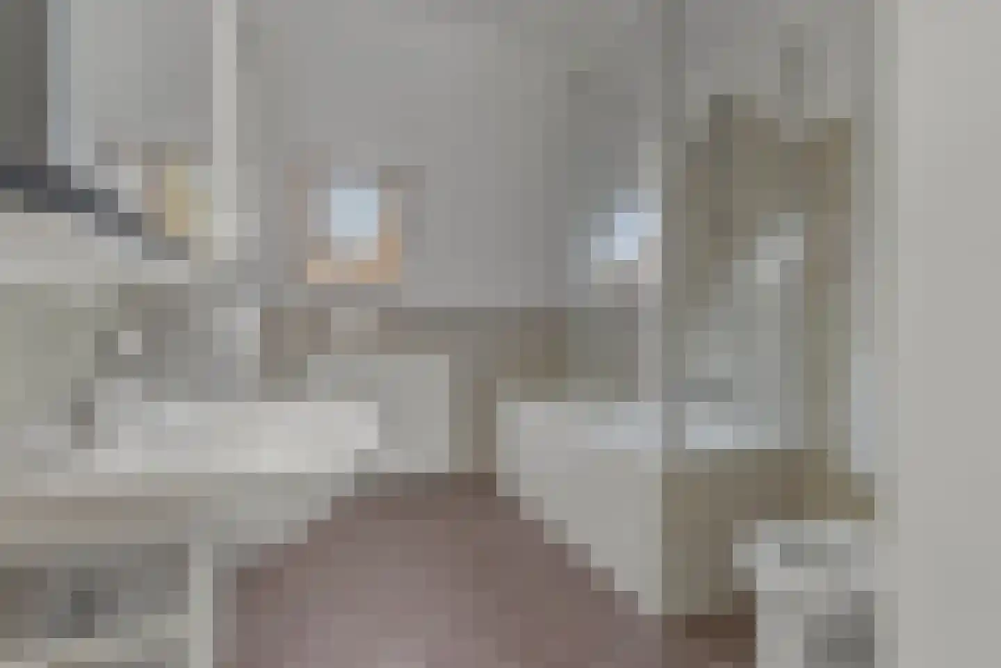 Bereklauw 62 Cuijk thumbnail 21