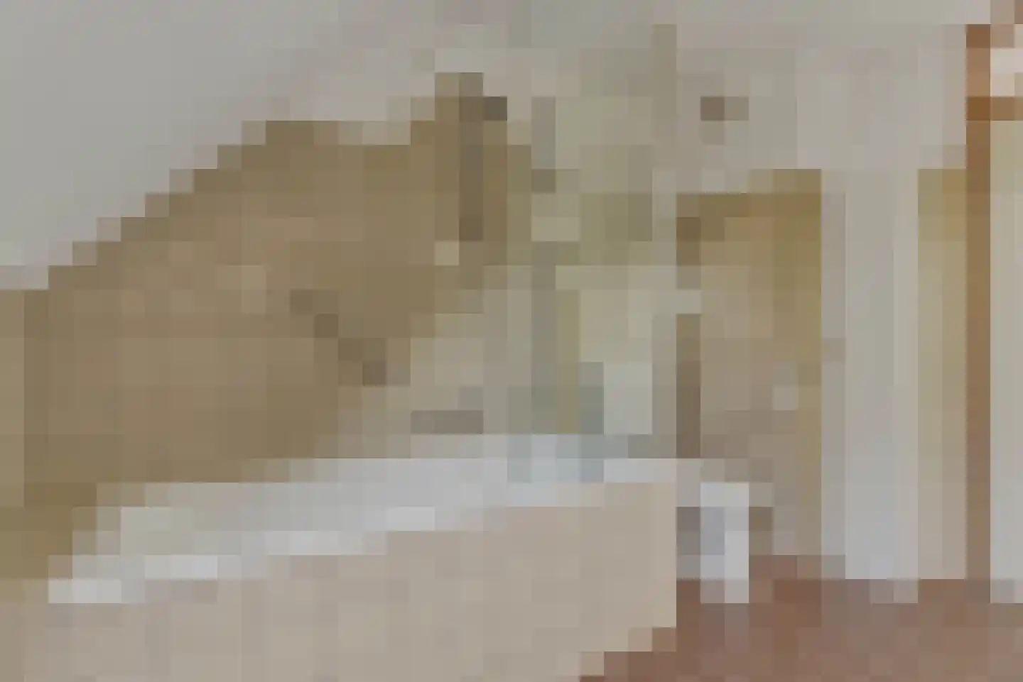Bereklauw 62 Cuijk thumbnail 22