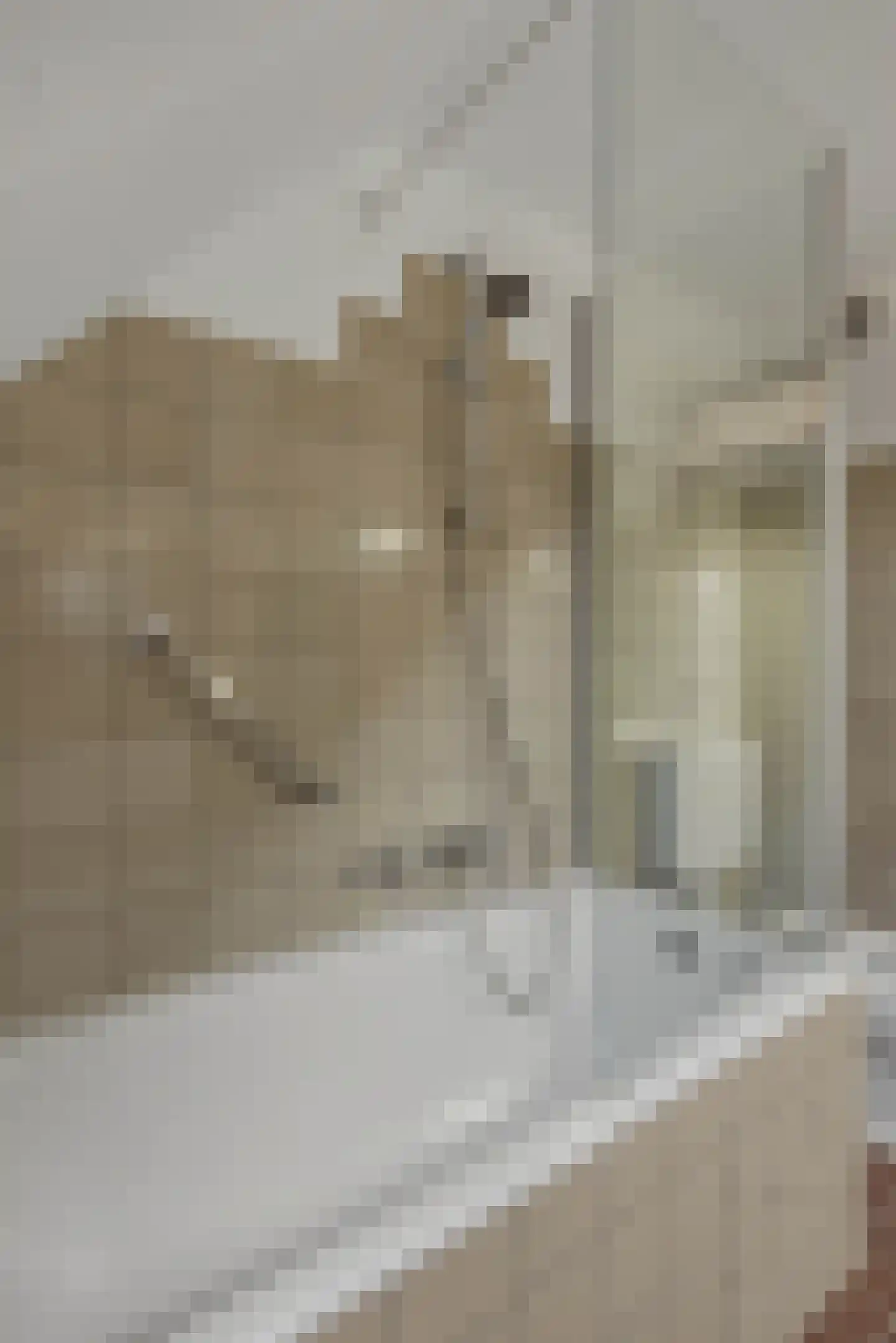 Bereklauw 62 Cuijk thumbnail 24