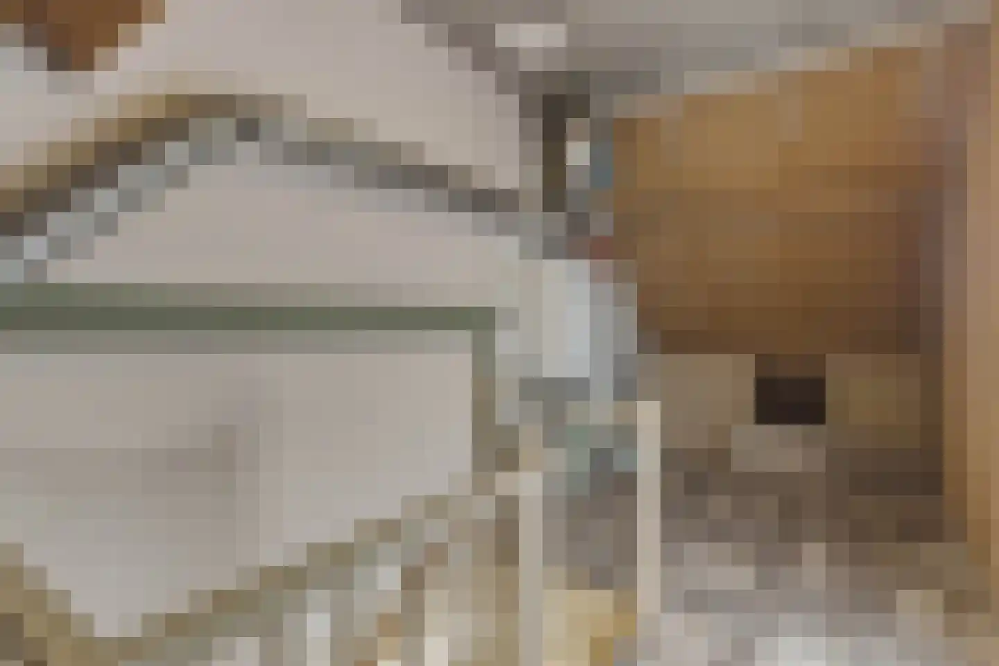 Bereklauw 62 Cuijk thumbnail 29
