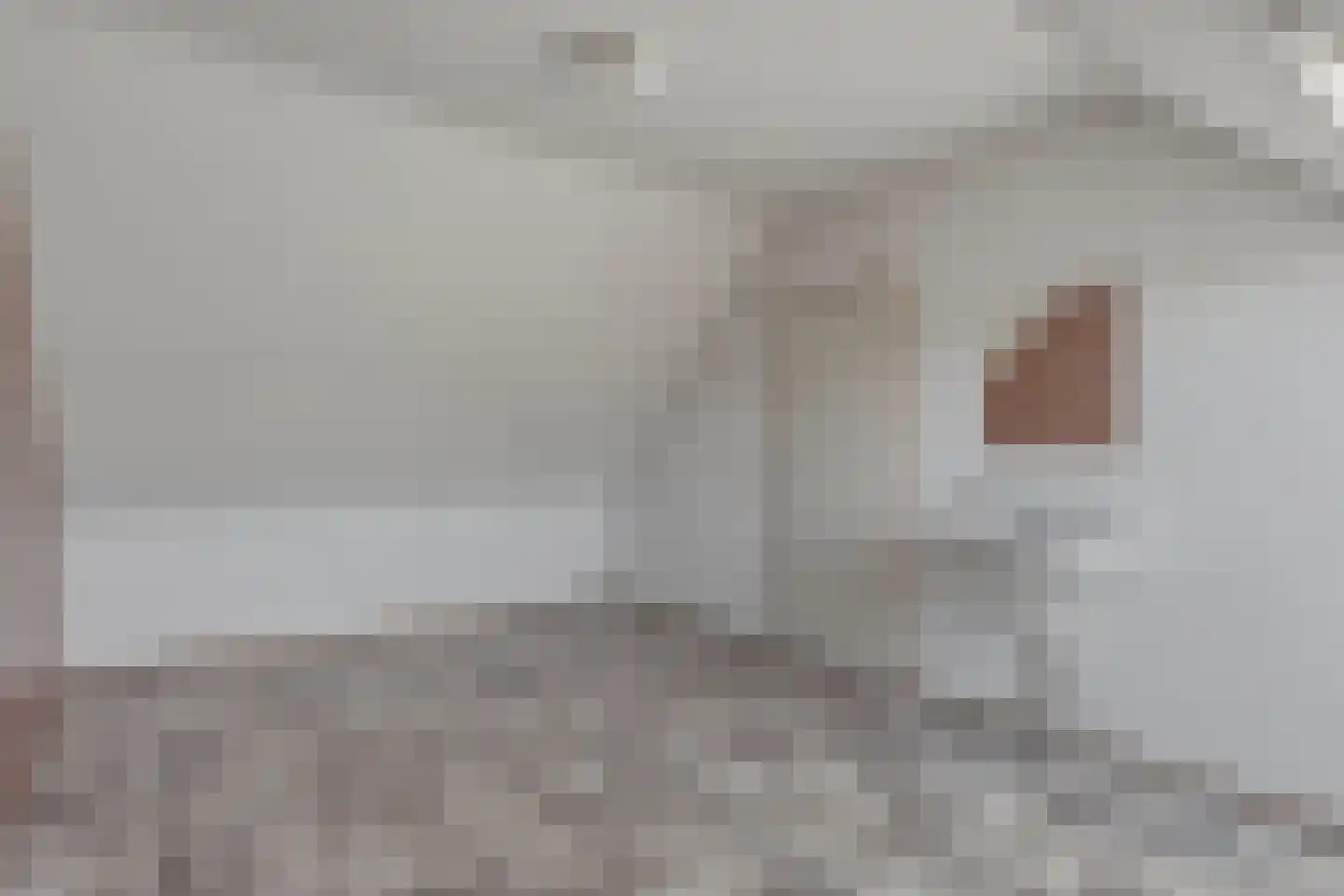 Bereklauw 62 Cuijk thumbnail 33