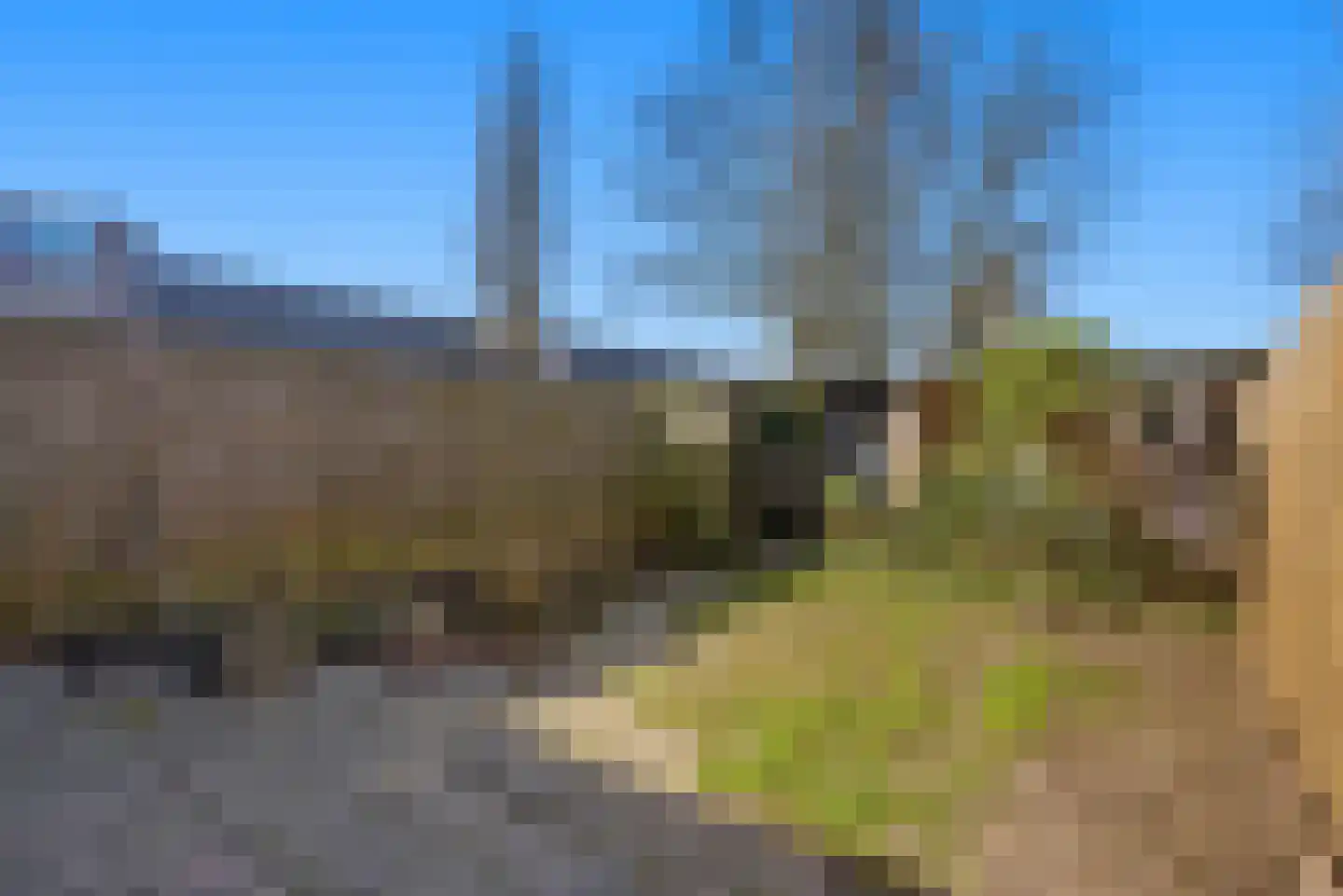 Bereklauw 62 Cuijk thumbnail 35