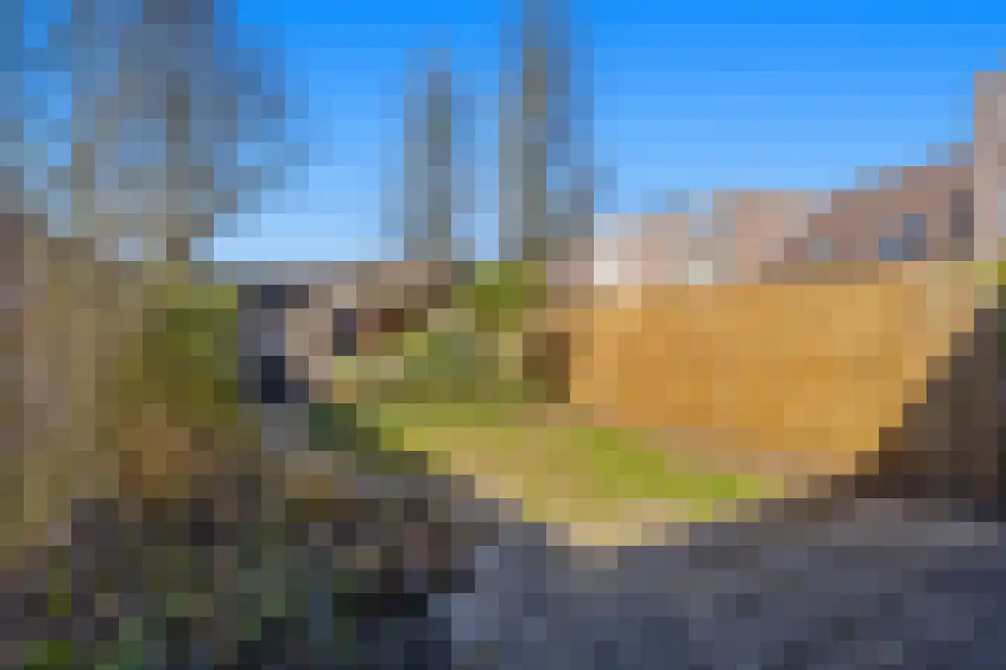 Bereklauw 62 Cuijk thumbnail 36
