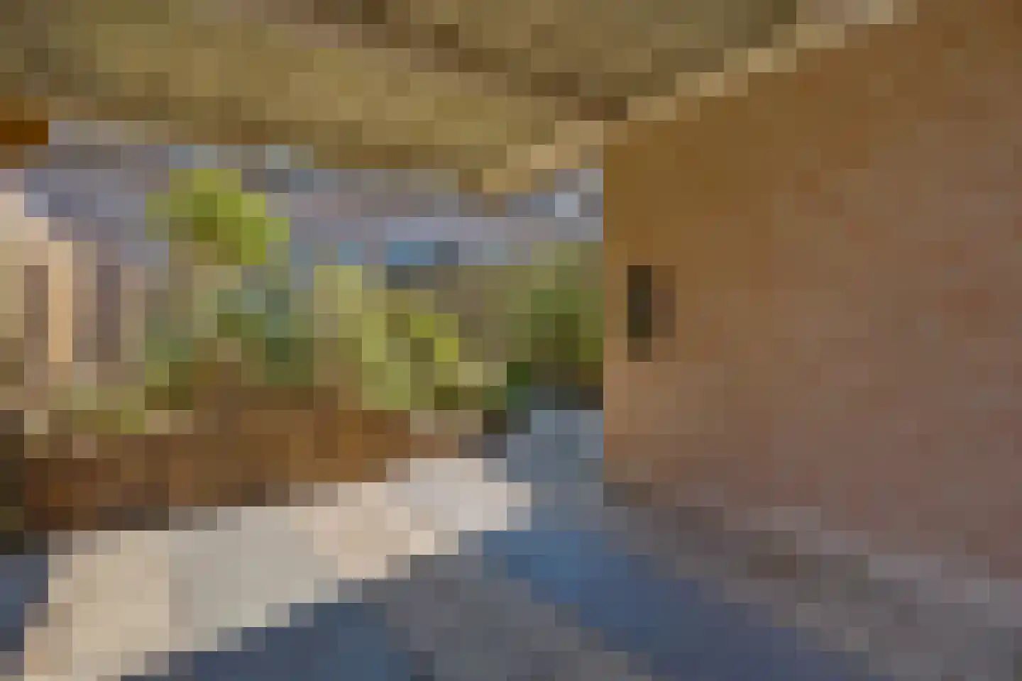 Bereklauw 62 Cuijk thumbnail 39
