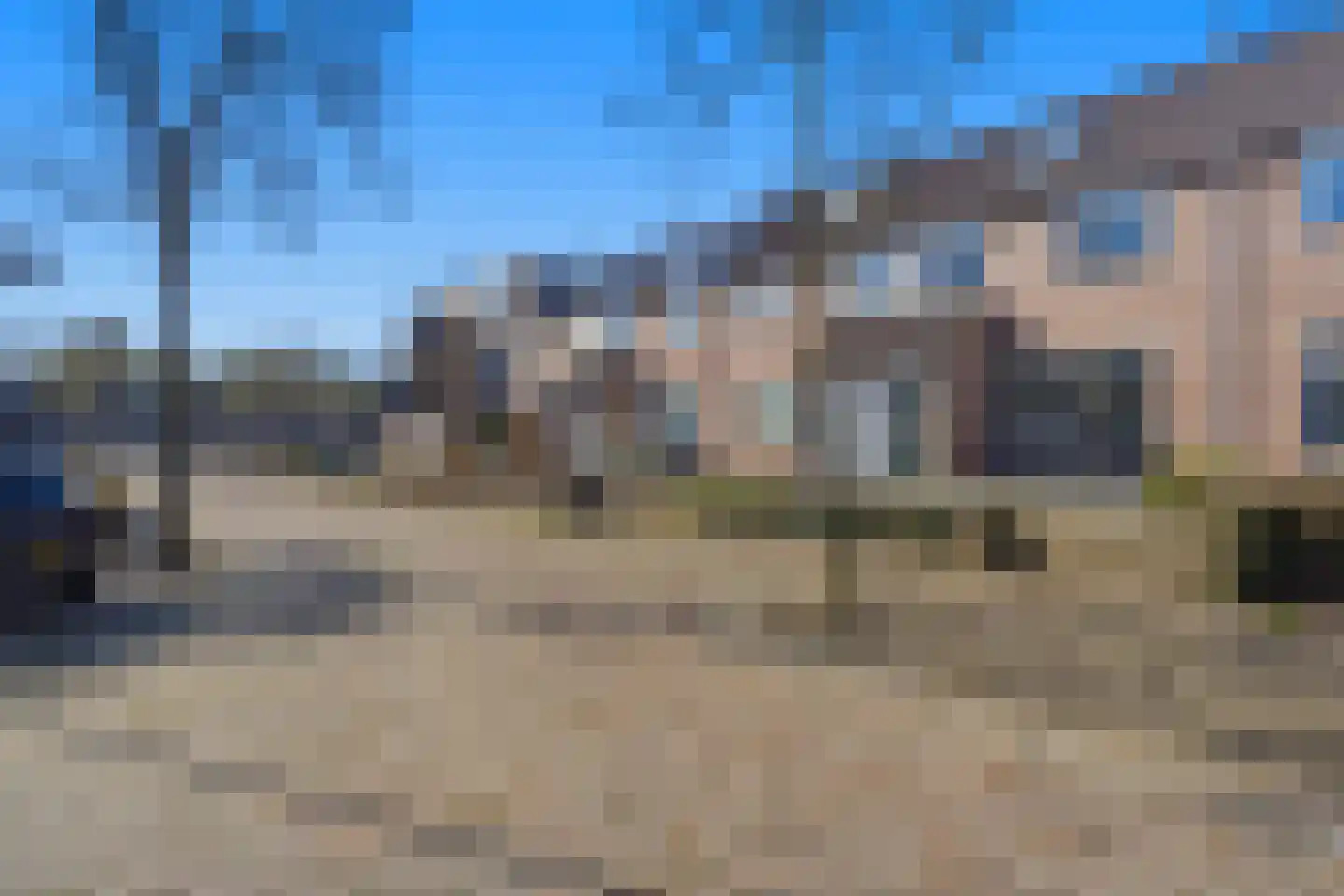 Bereklauw 62 Cuijk thumbnail 44