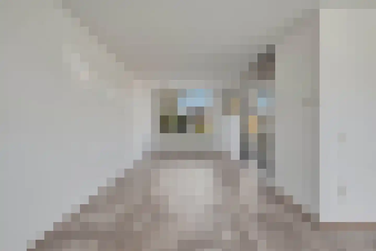 Bereklauw 62 Cuijk thumbnail 5
