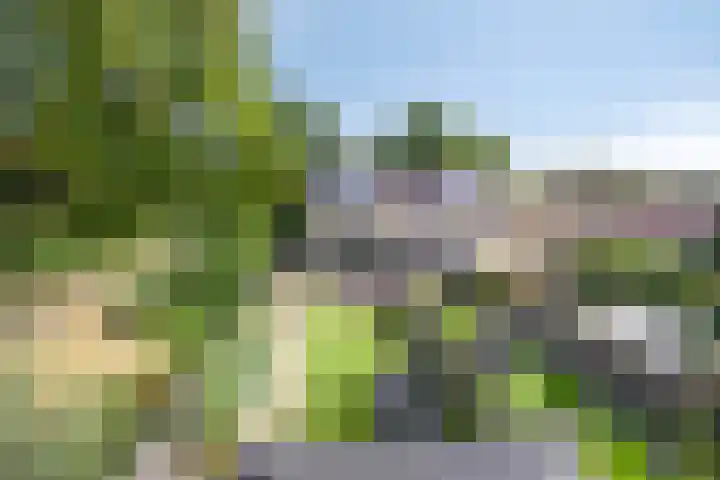 Bereklauw 65 Deventer thumbnail 28