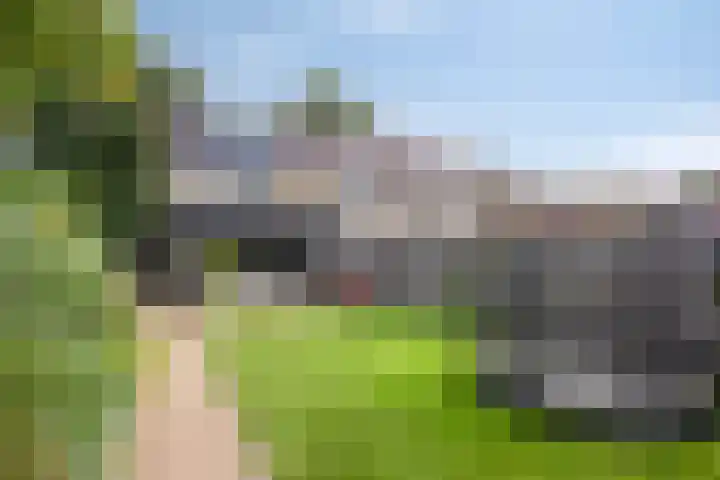 Bereklauw 65 Deventer thumbnail 30