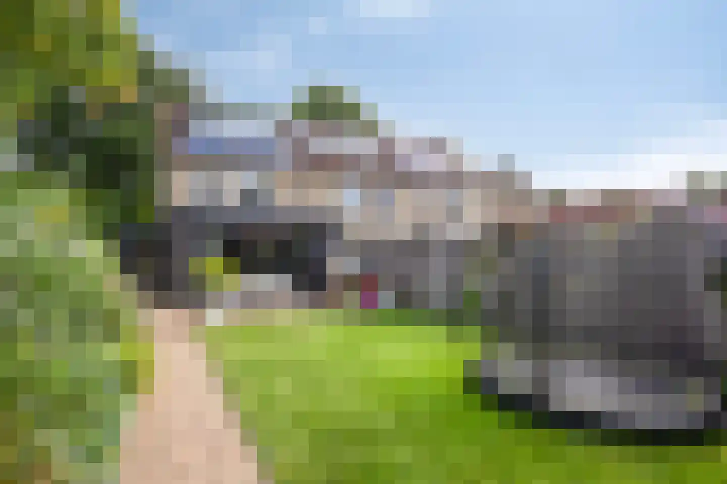 Bereklauw 65 Deventer thumbnail 30