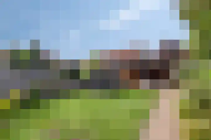 Bereklauw 65 Deventer thumbnail 31