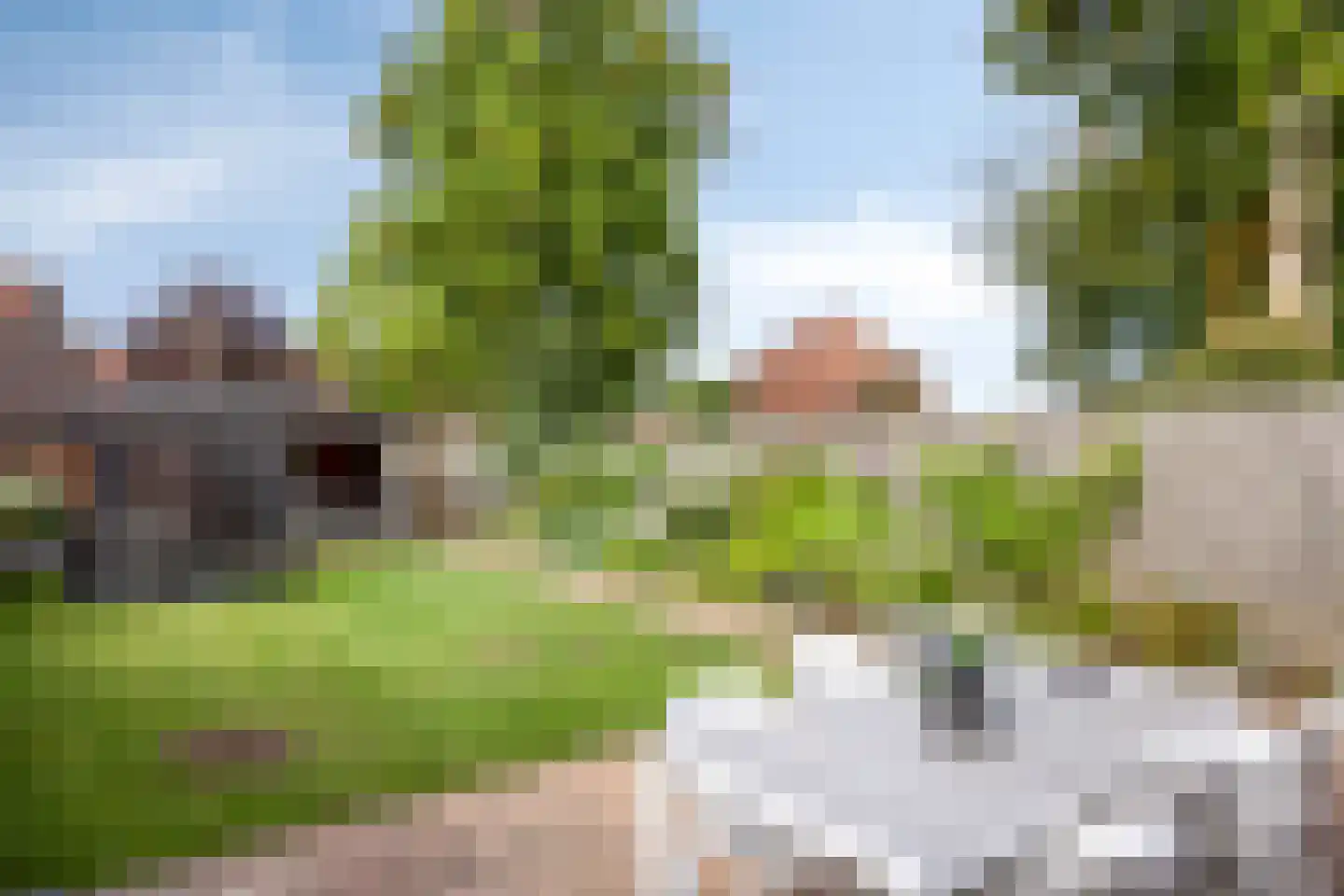 Bereklauw 65 Deventer thumbnail 32