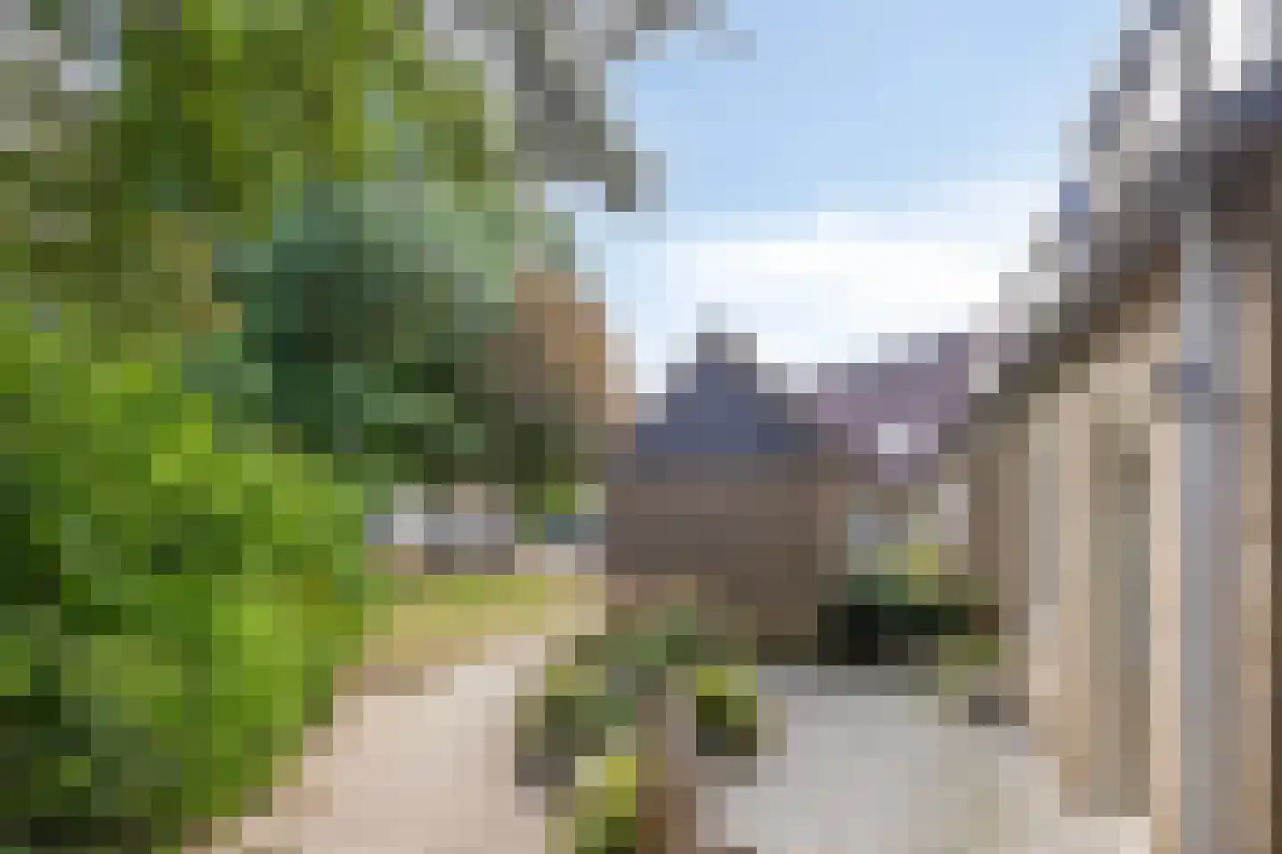 Bereklauw 65 Deventer thumbnail 35