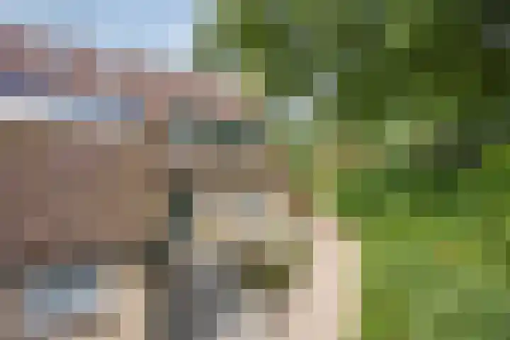 Bereklauw 65 Deventer thumbnail 37
