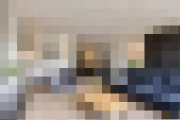 Bereklauw 65 Deventer thumbnail 4