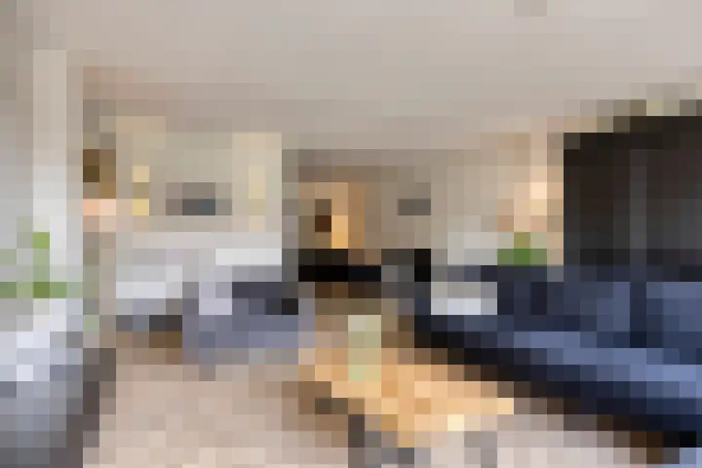 Bereklauw 65 Deventer thumbnail 4
