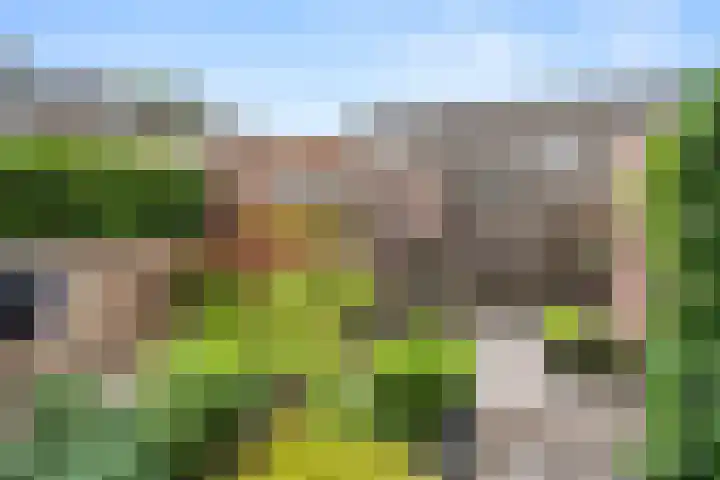 Bereklauw 73 Bennekom thumbnail 10