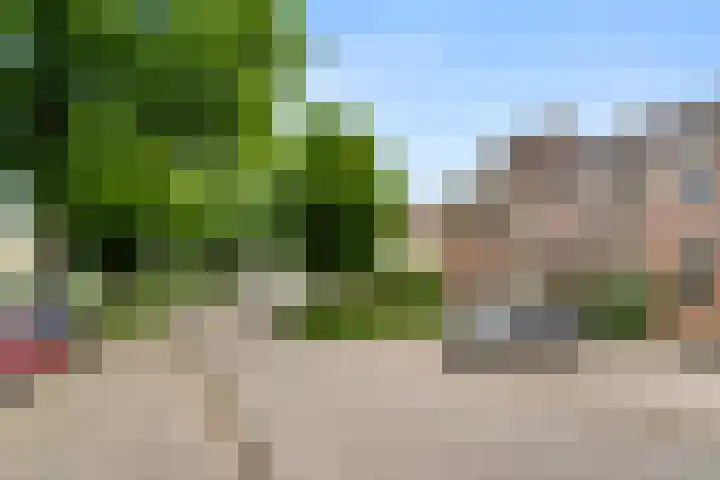 Bereklauw 73 Bennekom thumbnail 5