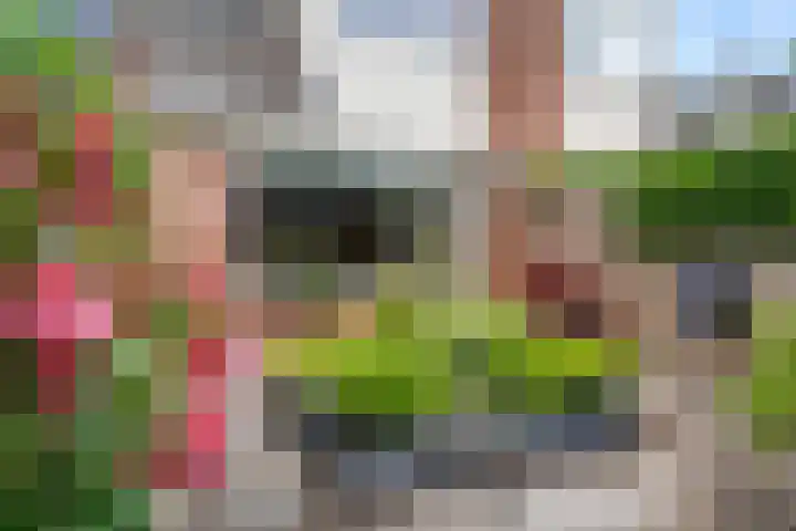 Bereklauw 73 Bennekom thumbnail 8