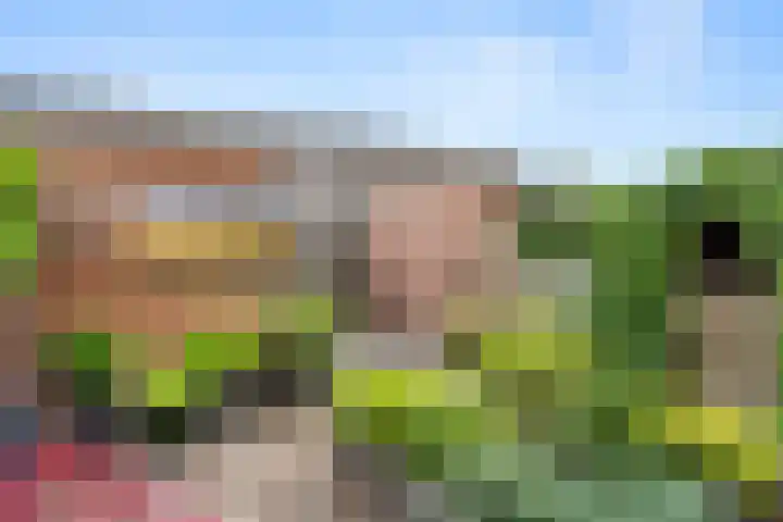 Bereklauw 73 Bennekom thumbnail 9