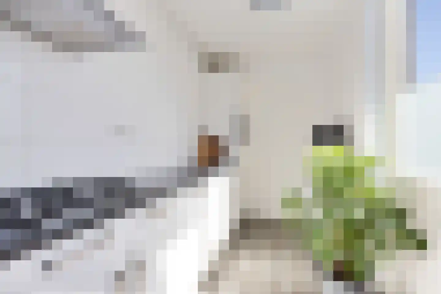 Bereklauw 73 Cuijk thumbnail 19