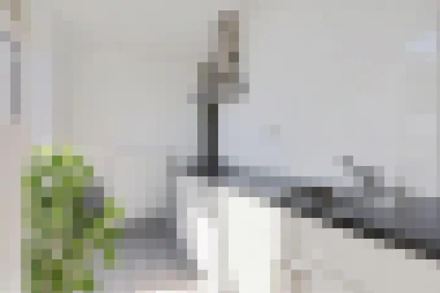 Bereklauw 73 Cuijk thumbnail 21