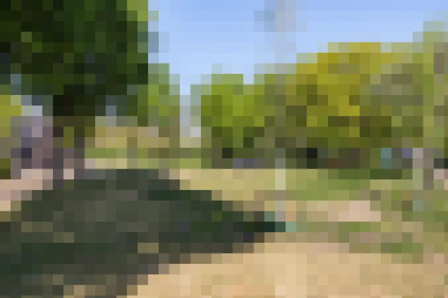 Bereklauw 73 Cuijk thumbnail 5