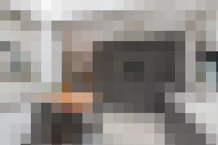 Bereklauw 77 Oldenzaal thumbnail 12