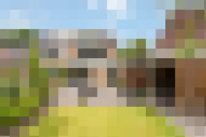 Bereklauw 77 Oldenzaal thumbnail 19