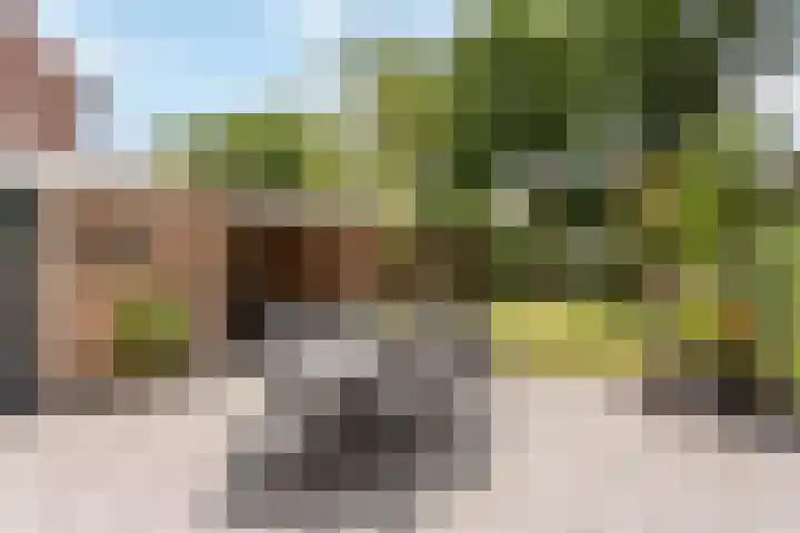 Bereklauw 77 Oldenzaal thumbnail 20