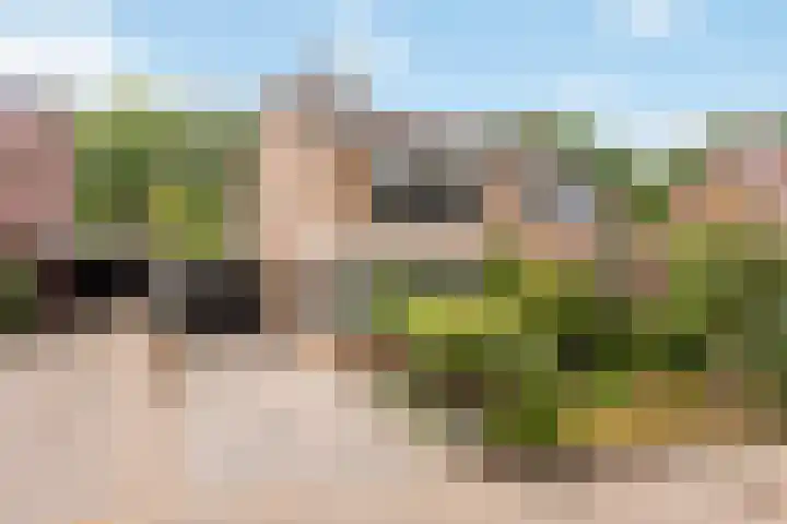 Bereklauw 77 Oldenzaal thumbnail 5