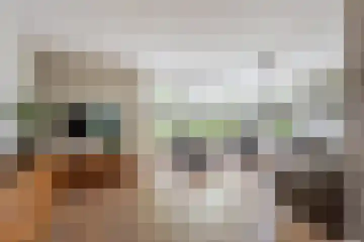 Bereklauw 77 Oldenzaal thumbnail 6