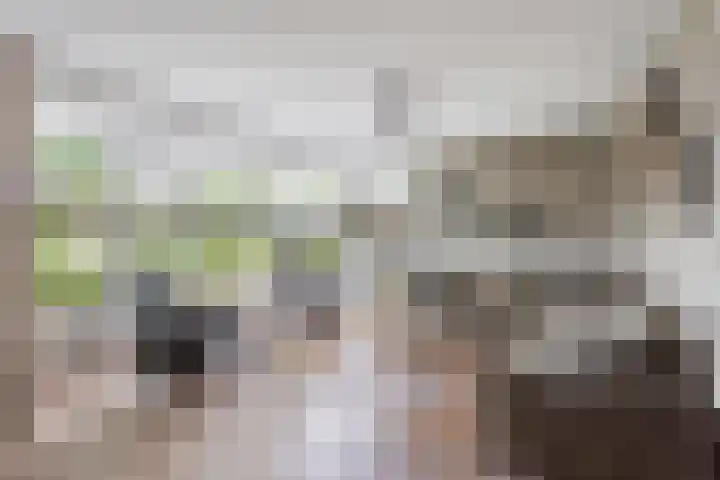 Bereklauw 77 Oldenzaal thumbnail 7