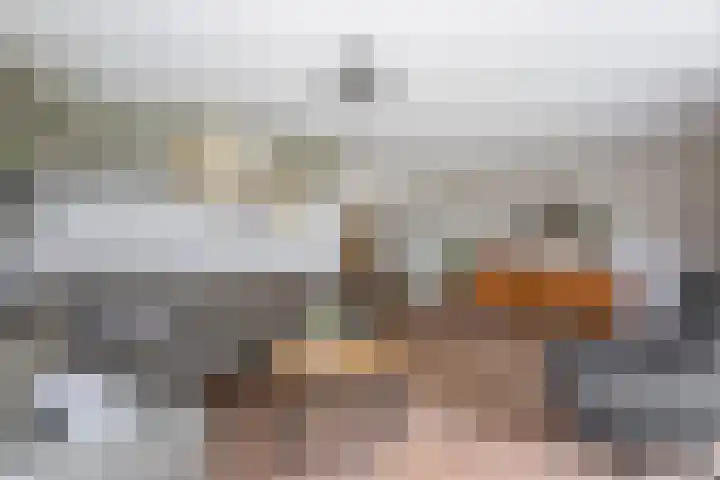Bereklauw 77 Oldenzaal thumbnail 8