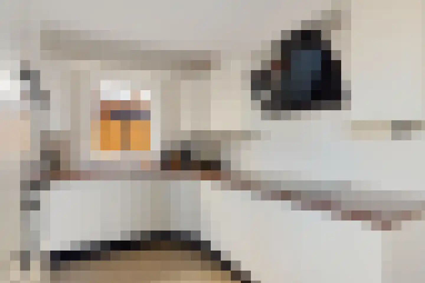 Bereklauw 79 Klazienaveen thumbnail 14