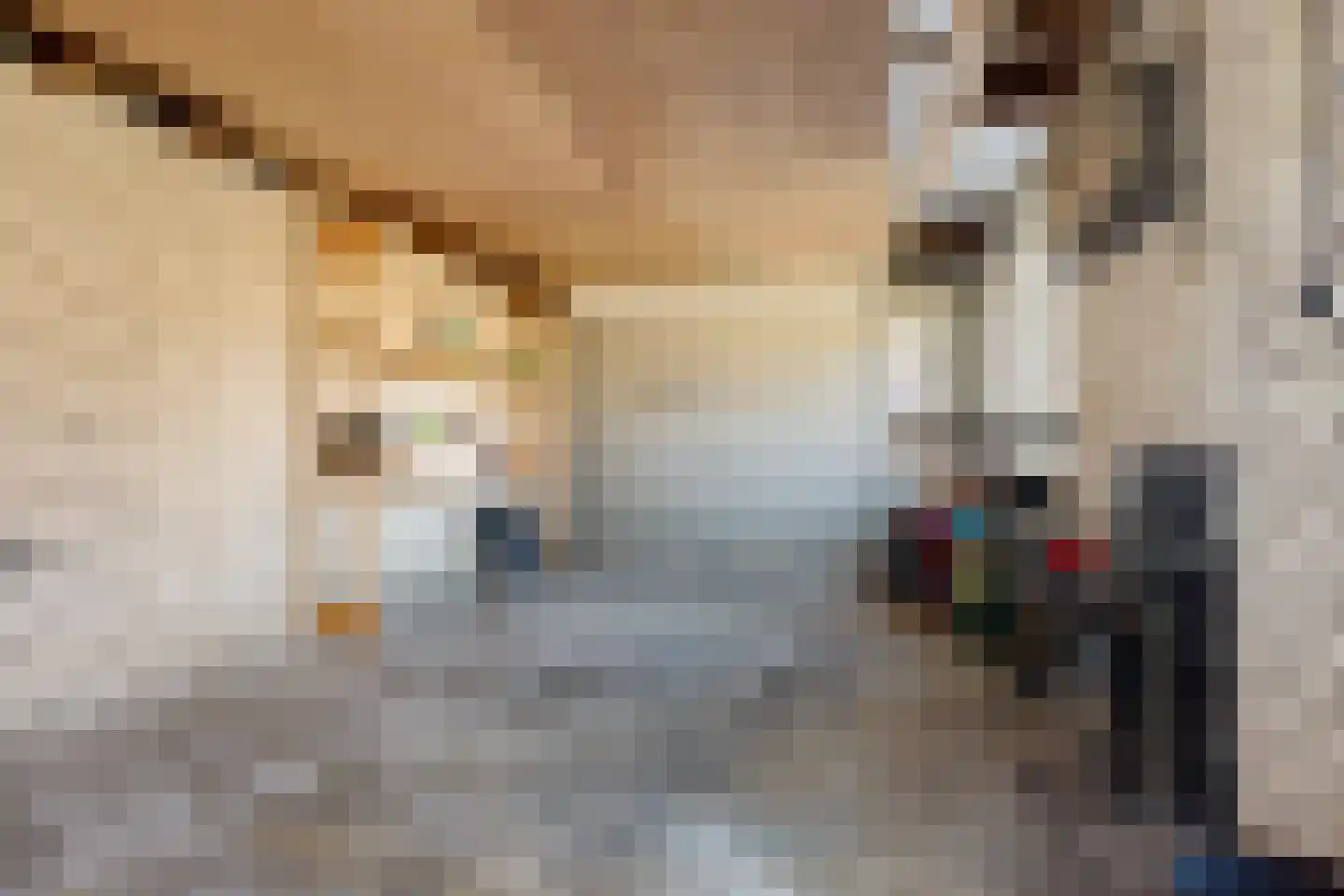 Bereklauw 79 Klazienaveen thumbnail 34
