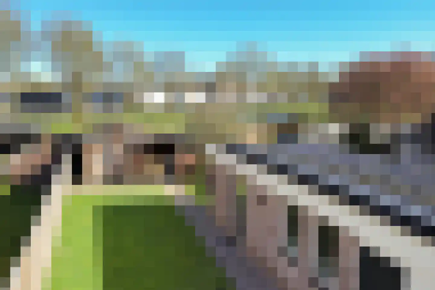 Bereklauw 79 Klazienaveen thumbnail 35