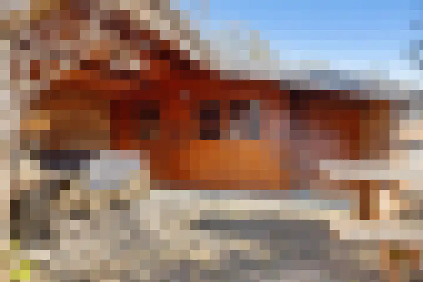 Bereklauw 79 Klazienaveen thumbnail 38