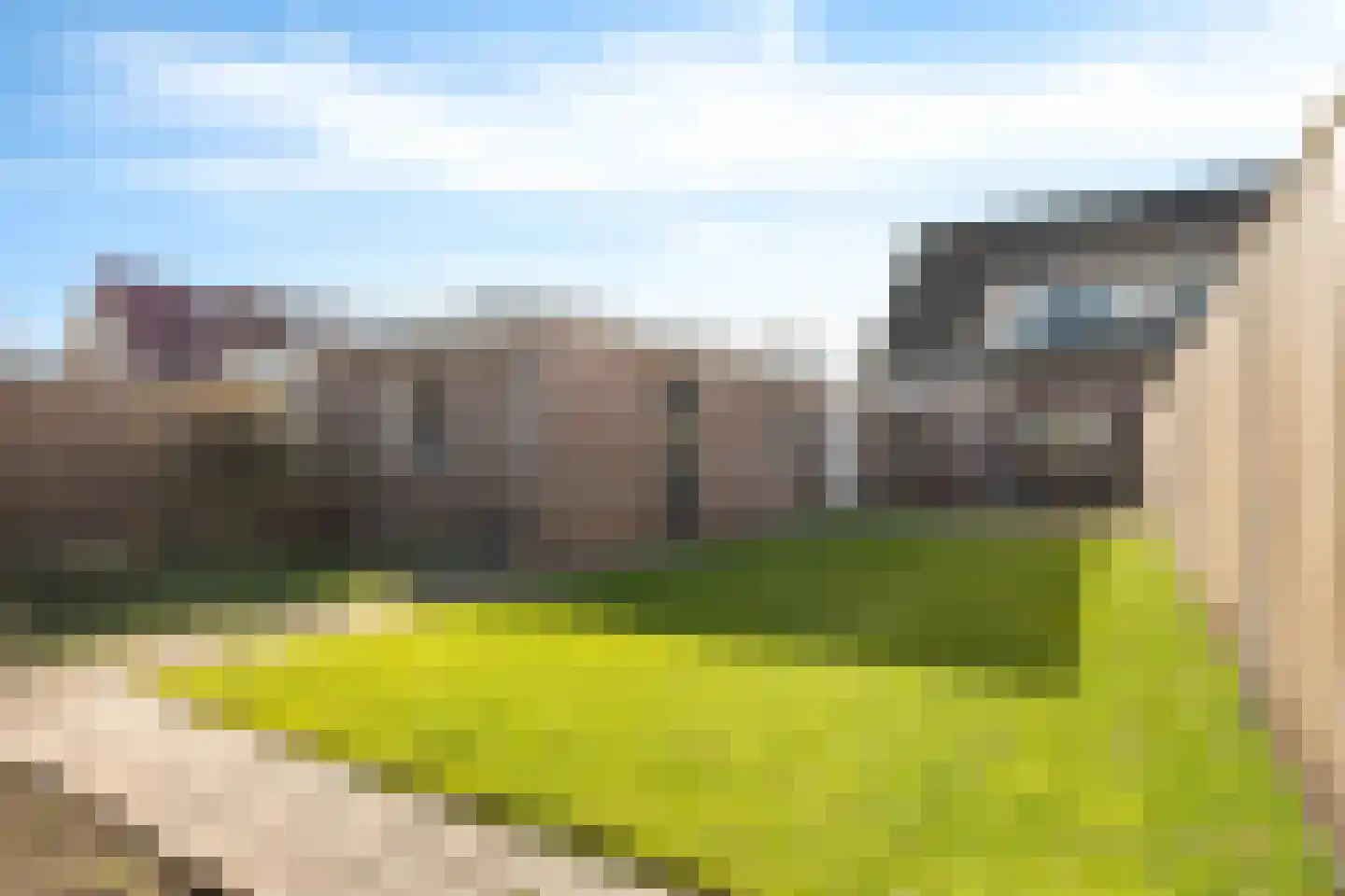 Bereklauw 79 Klazienaveen thumbnail 41