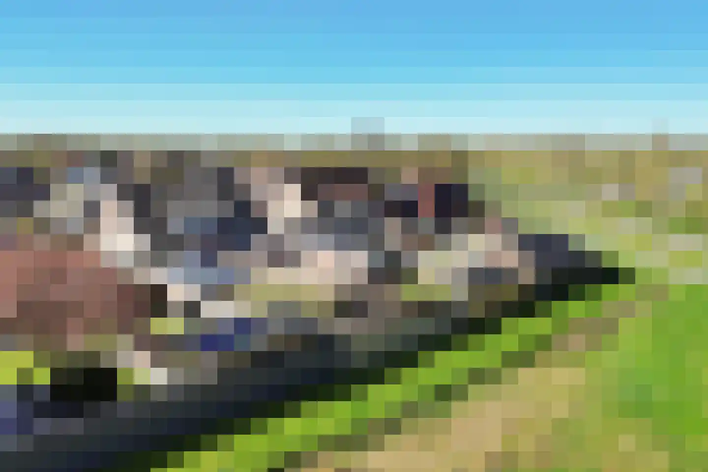 Bereklauw 79 Klazienaveen thumbnail 43