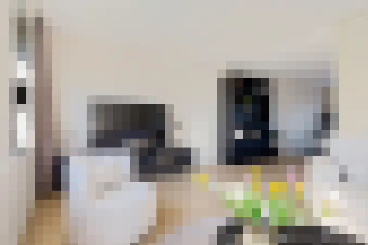 Bereklauw 79 Klazienaveen thumbnail 8